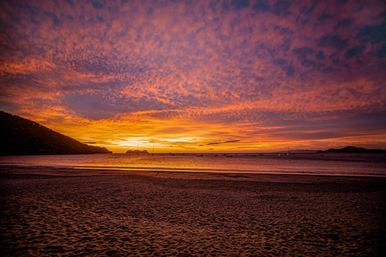 Hotel Bosque Del Mar Playa Hermosa Playa Hermosa  Buitenkant foto